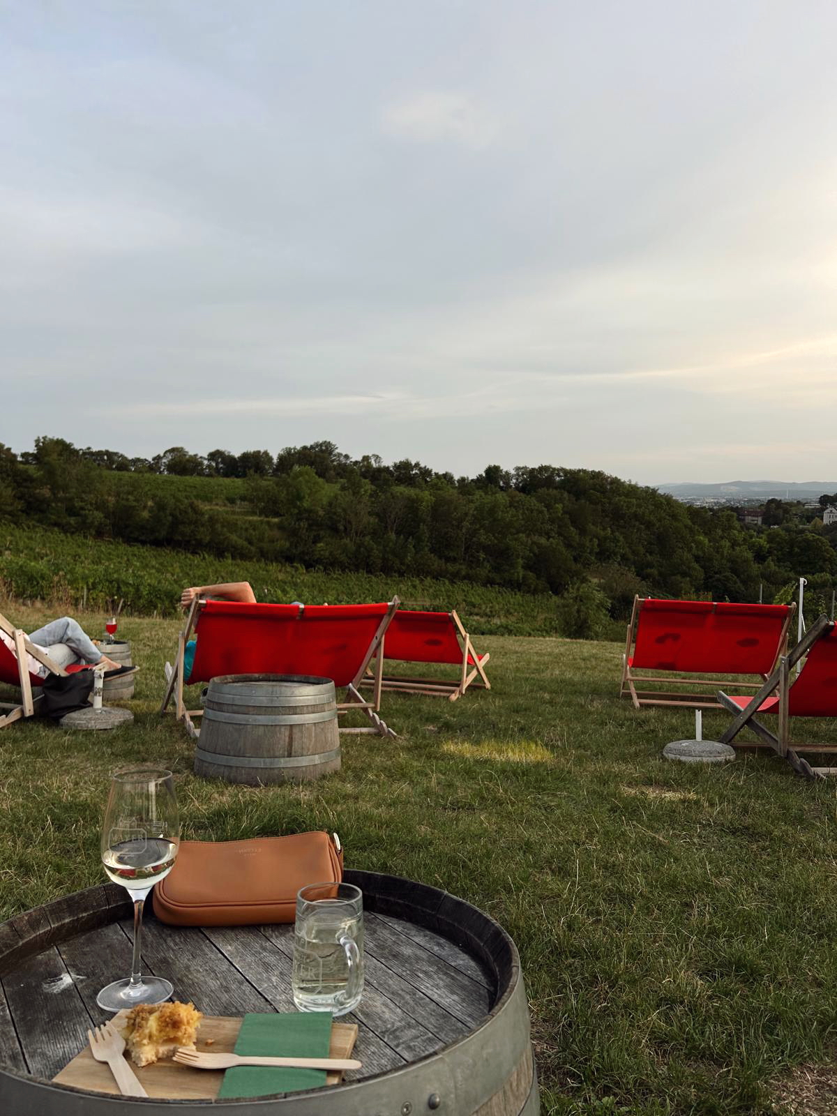 Vineyards in Vienna Austria